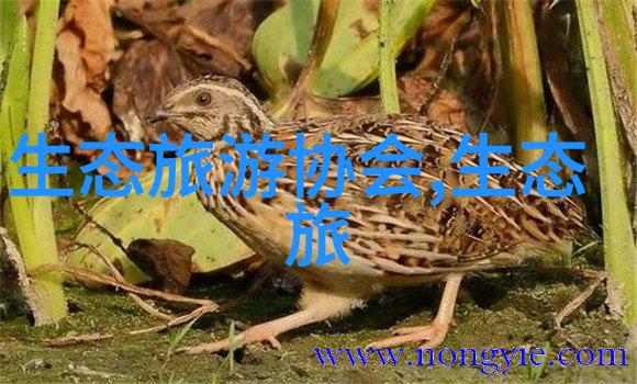 防控疫情新篇章科技与政策同行的故事