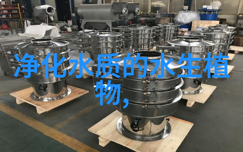 乡村旅游发展存在的问题及对策咱们该如何是好
