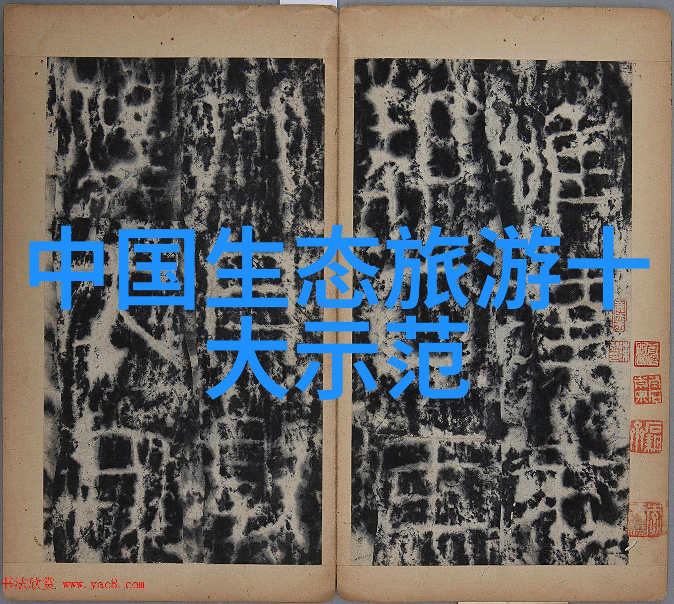 绿色生活的定义和内涵我们如何在日常中追逐那份清新的绿意