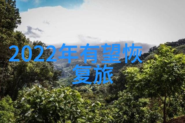 环保行动之星绿色生活的免费指南环保小知识绿色日常节能减排免费资源