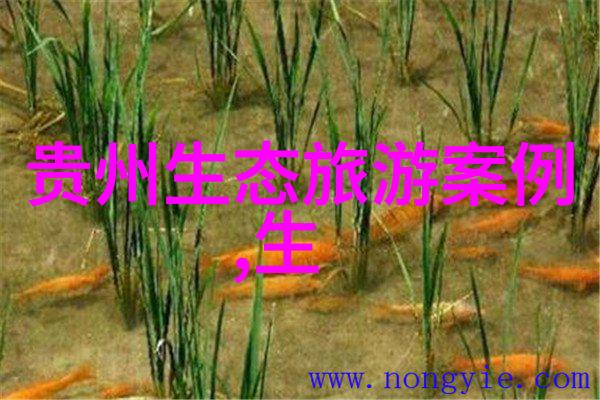 碧波荡漾环境监测设备的隐秘守望者