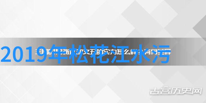 低碳环保生活实现可持续发展的绿色选择