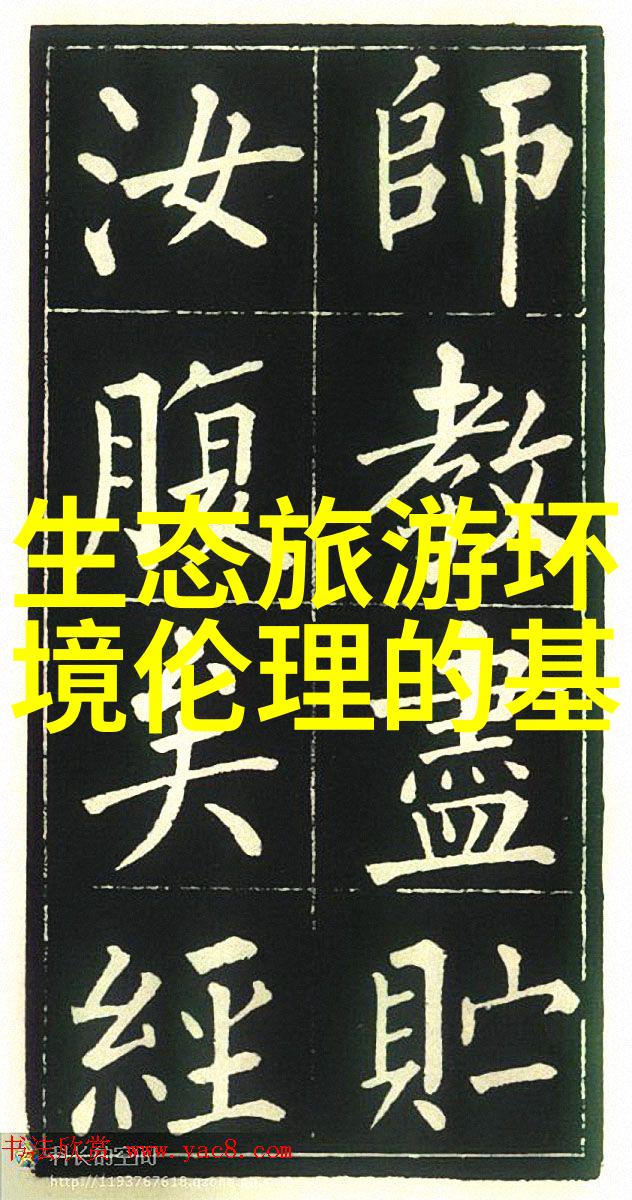 探索板框压滤机滤布材质之谜从纺织技术到工业应用