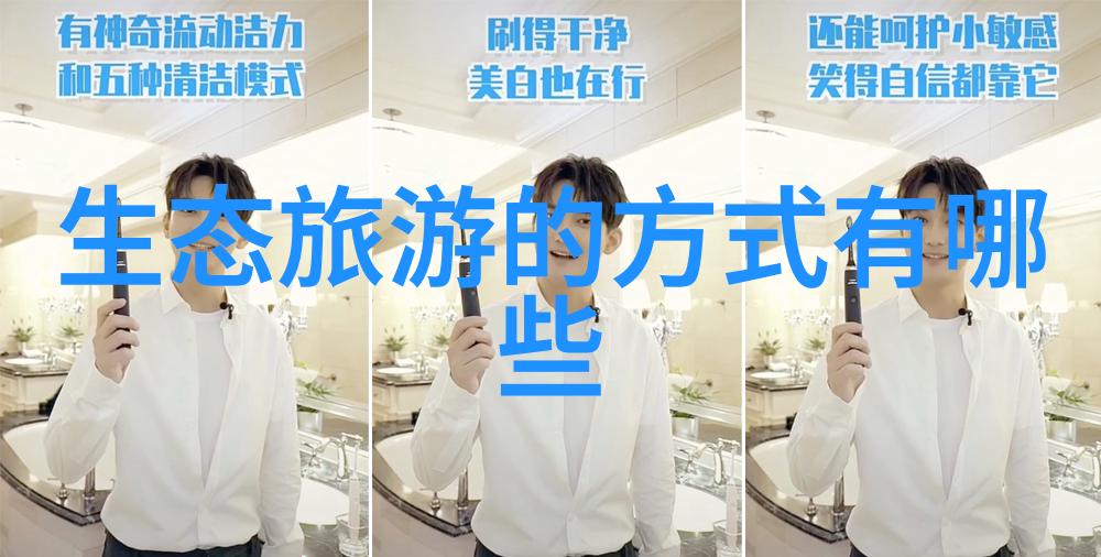 探究低碳生活方式的实践与创新手抄报作品评析与最佳实践案例研究