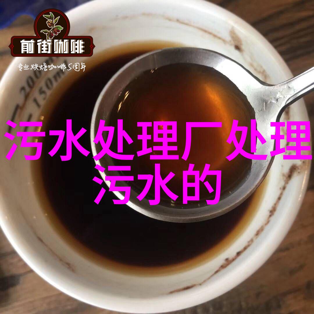 养殖场污水处理-高效生物处理技术在农村养殖废水治理中的应用与实践