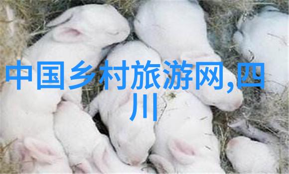 天价重量一吨的代价