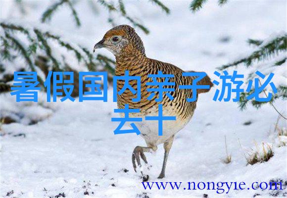 环境信息公开机制中国环境监测网为民众提供了哪些便利