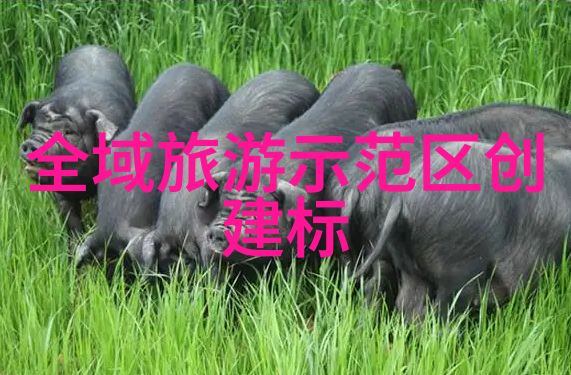 水净化之道污水过滤器的奥秘揭秘