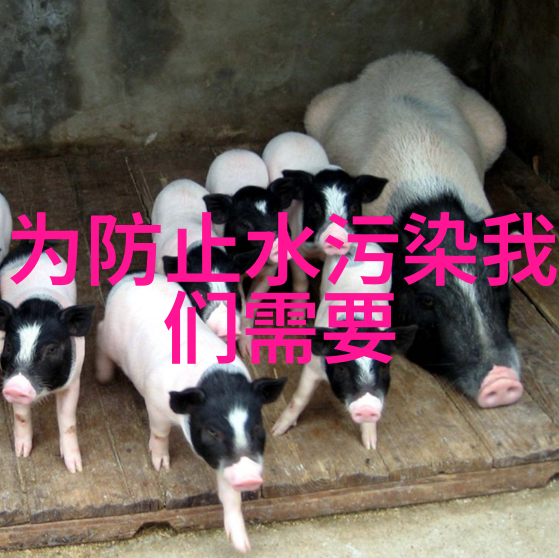 农村卫生间污水怎么处理-解决乡村卫生便池废水问题的智慧之道