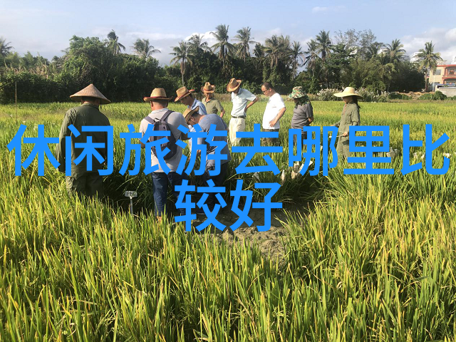 汽车指示灯图解大全集 - 驾驶安全的灯塔揭秘车内每盏光芒的意义