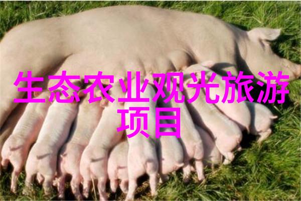 教育系统中融入环境意识培养下一代环保人才