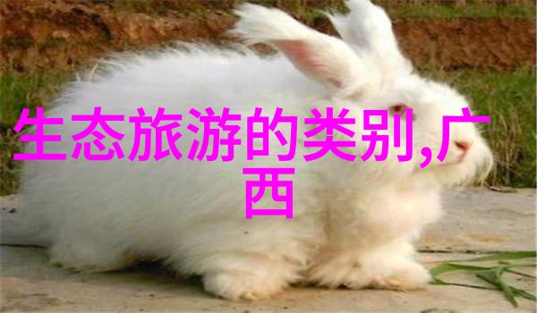 旷日持久的魅力探秘最火景区新宠项目