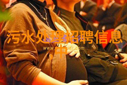 无线环境监测-空中耳朵探索无线技术在环境监测中的应用与未来趋势