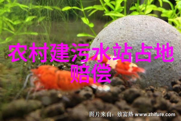 无法自拔的迷恋探索失控喜欢的心理机制
