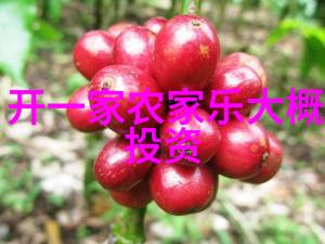 探索科学知识的乐趣科普作文之旅