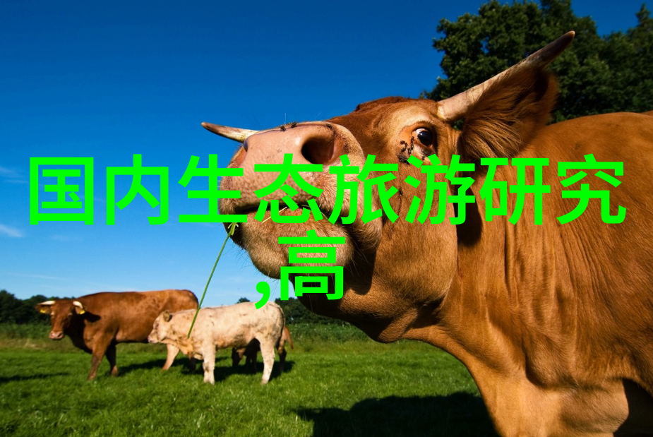 绿色世界生态和谐与可持续发展的新篇章