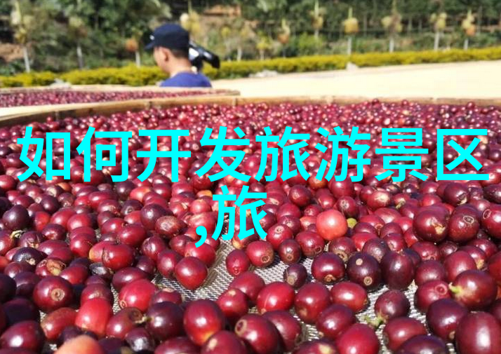 污水处理-从收集到排放污水处理流程的详细探究