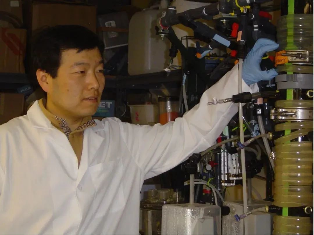 生态修复环境技术方案_生态环境修复技术是干什么的_生态环境修复技术/
