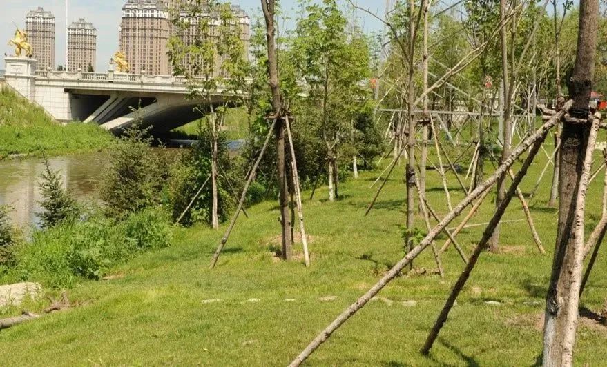 生态修复环境技术方案_生态环境修复技术_生态环境修复技术是干什么的/