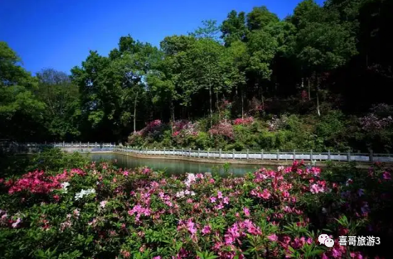 自驾广西旅游攻略必去景点_广西自驾游必去的10个景点_自驾景点广西游去旅游攻略/