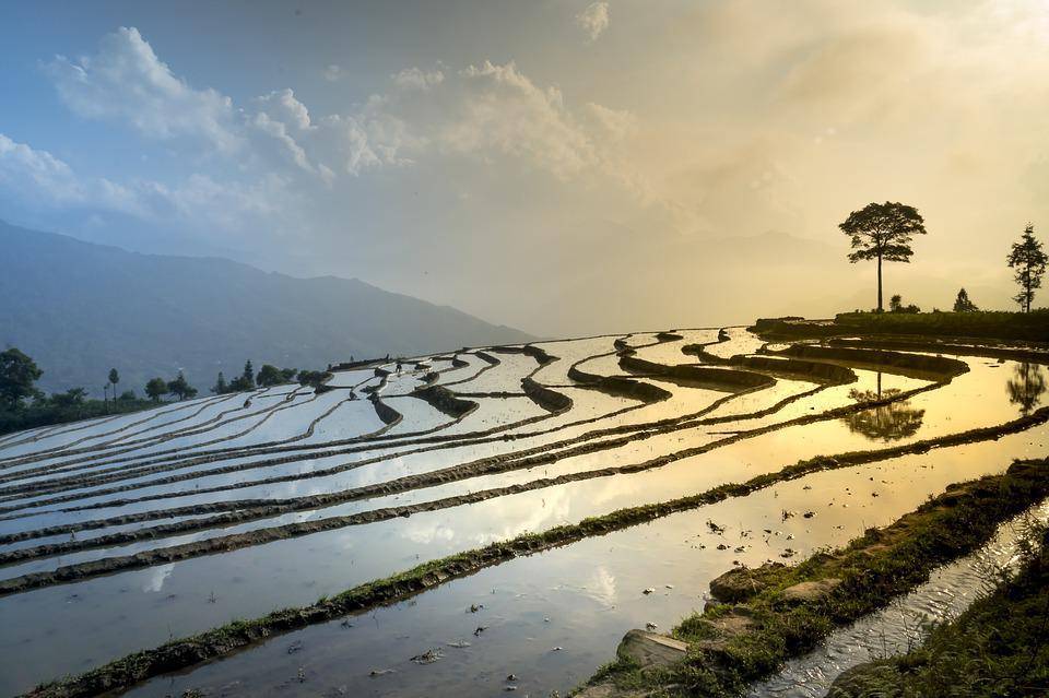 国内生态旅游的发展历程_生态旅游发展历史_国内生态旅游发展历程/