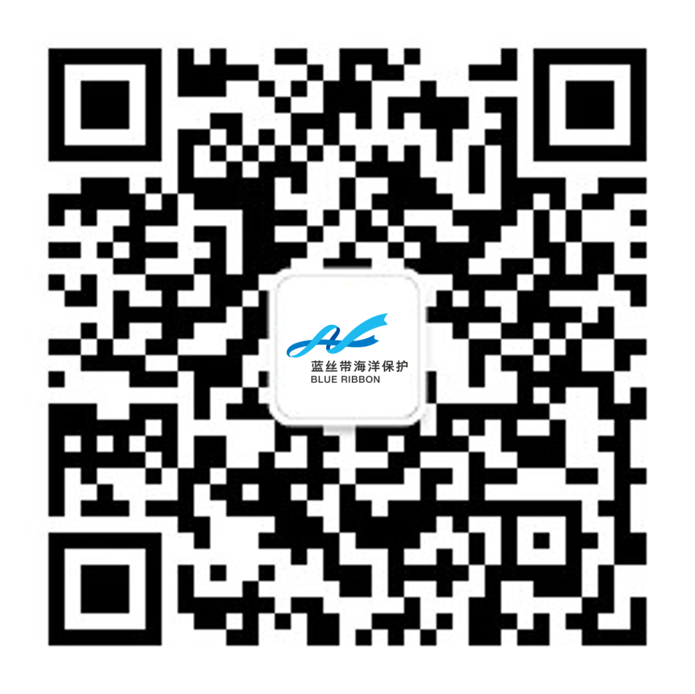 海洋世界哪里的最好玩_世界海洋日_海洋世界简笔画