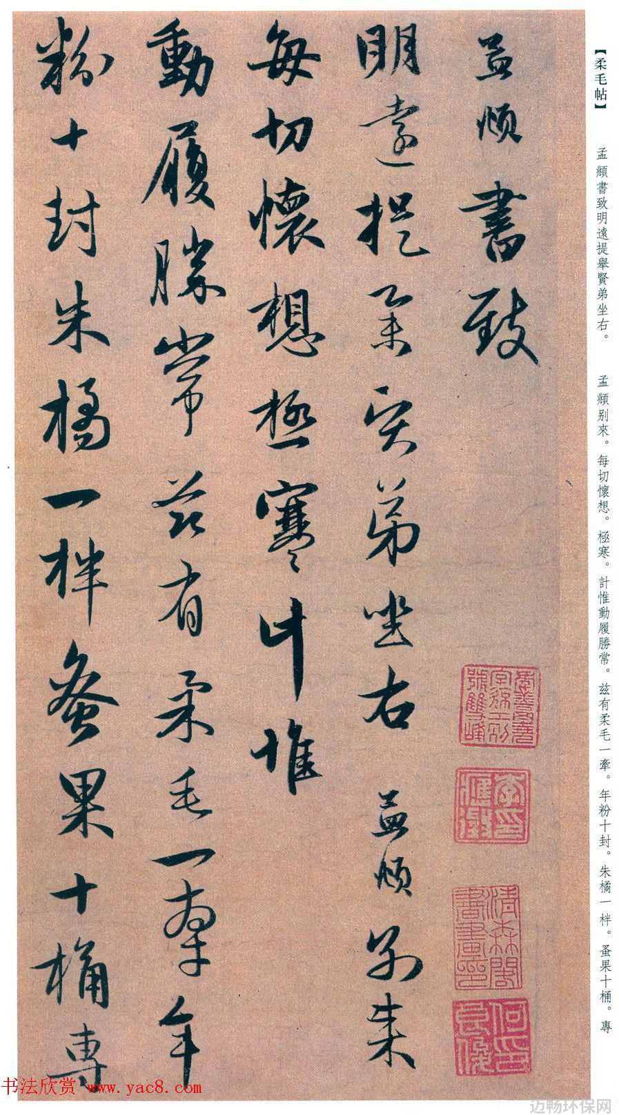 中国近年环境保护成果如何影响未来环境政策的制定