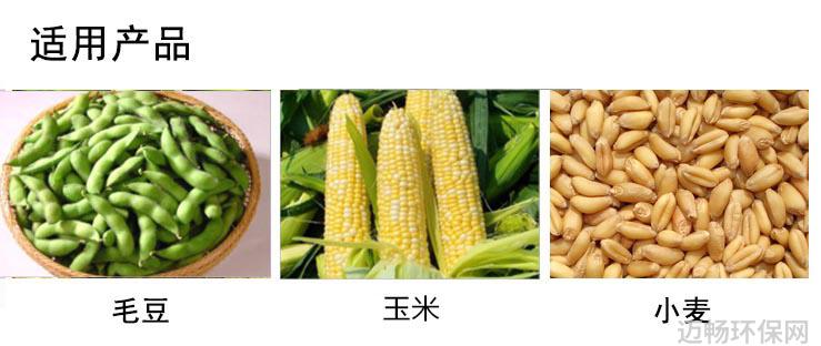 黄河流域生态保护项目我们如何应对这一生态挑战