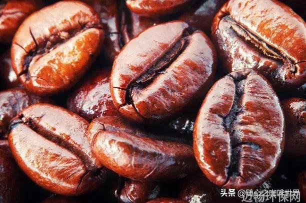 5. 绿色低碳生活如何减少碳排放保护地球家园
